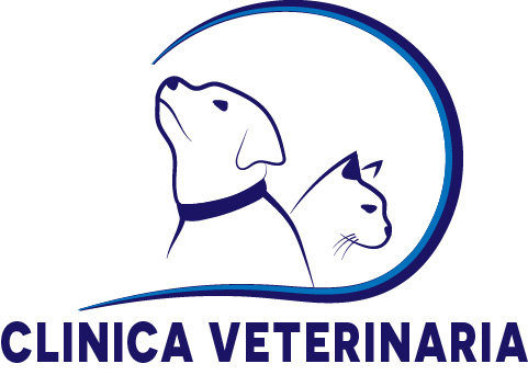 Veterinary clinic MRL, photo 10 of 12